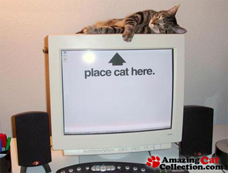 catpoweredpc