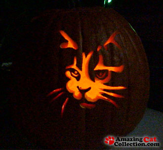 meowlantern