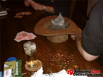pokerchamp
