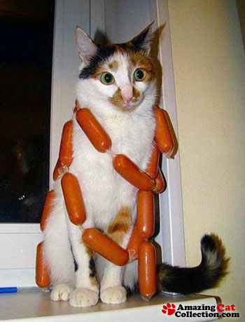 http://amazingcatcollection.com/images/cats/sausage-necklace.jpg